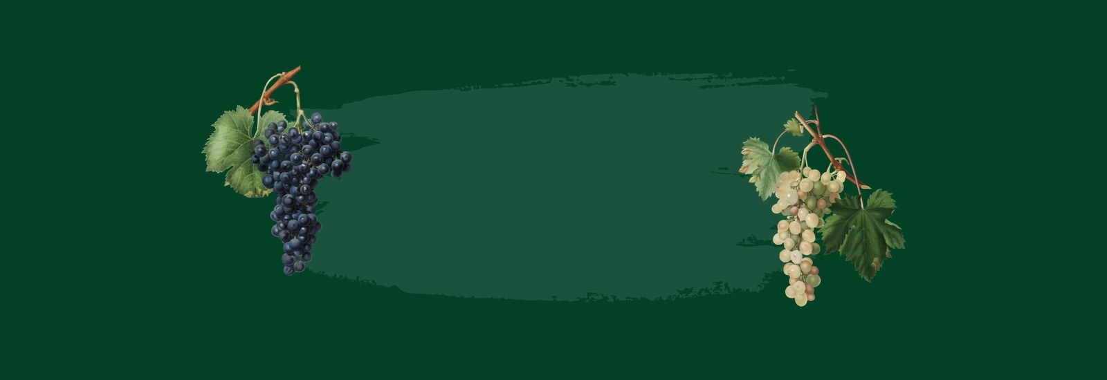 Vixen Hill Winery Ltd.