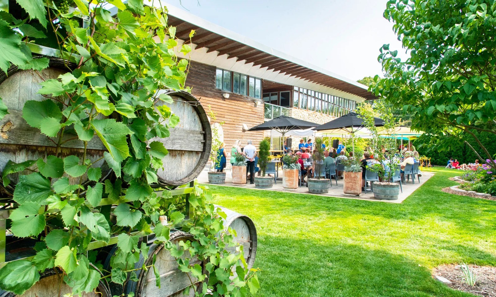 Stone's Throw Winery