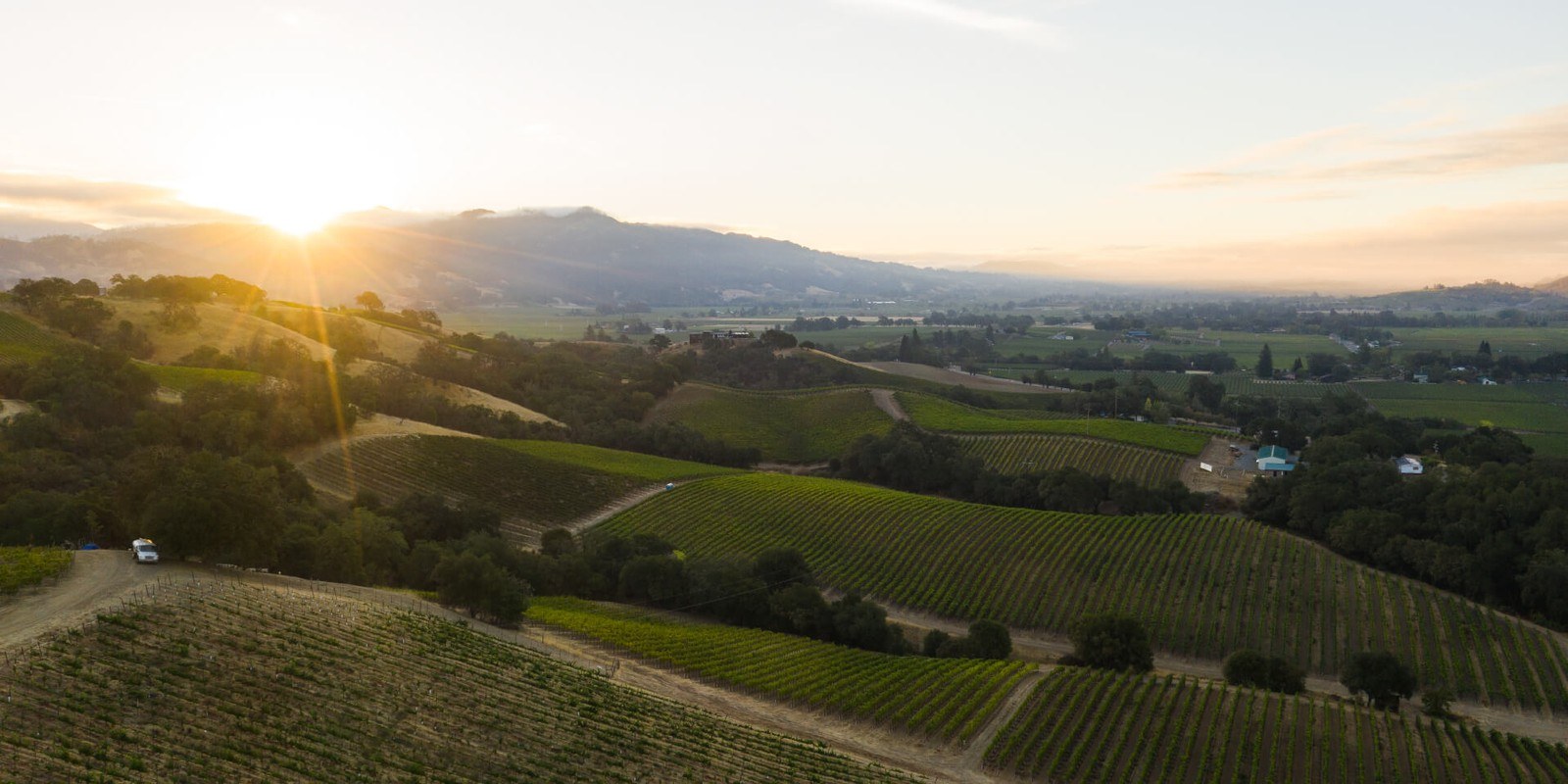Munselle Vineyards
