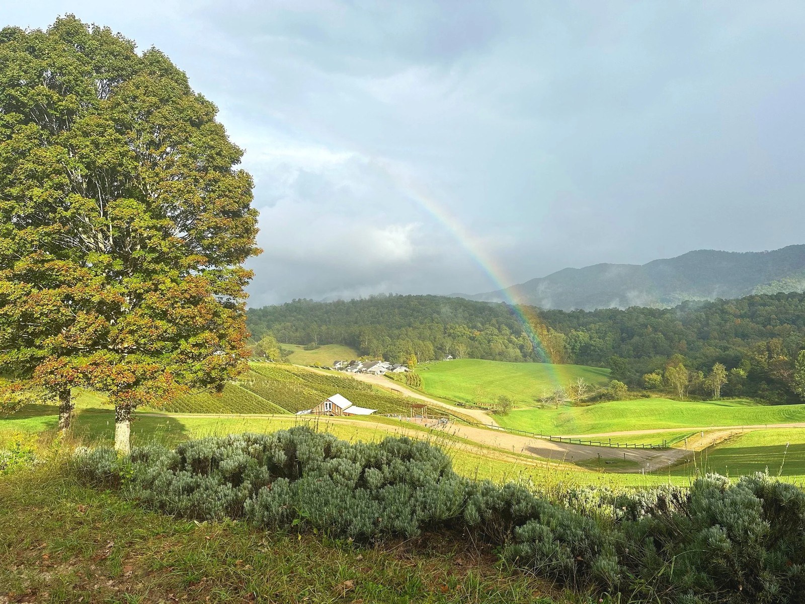 Beliveau Farm Winery