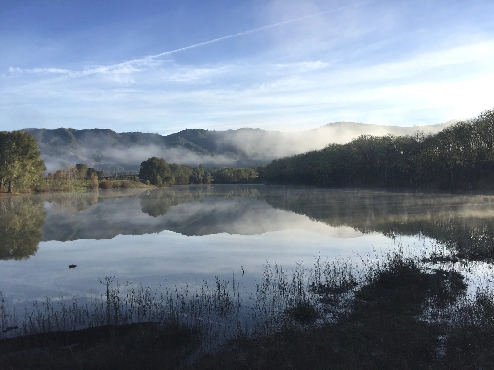 Lolonis Family Vineyards & Winery, Inc.