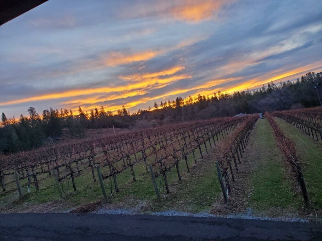 Golden Leaves Vineyard & Winery