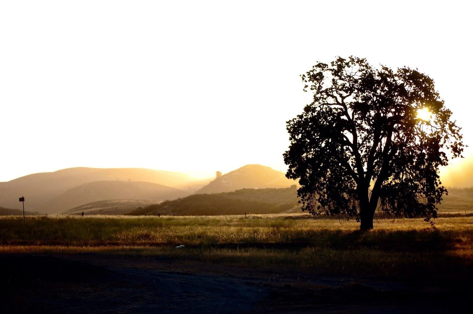 Fallendown Tree Winery & Cellars