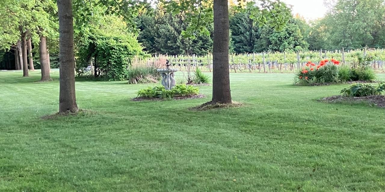 Rooster Ridge Vineyards