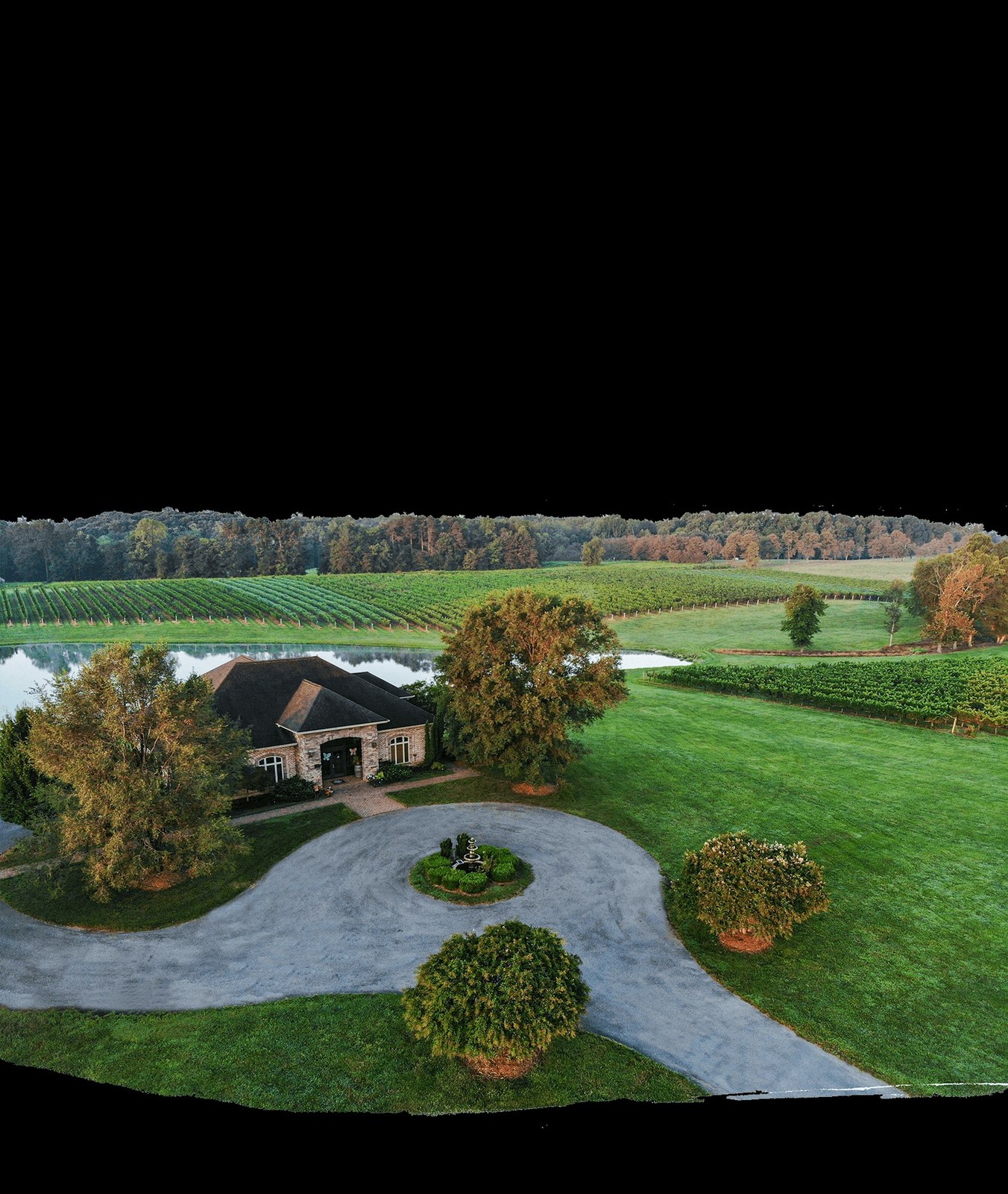 Shadow Springs Vineyard