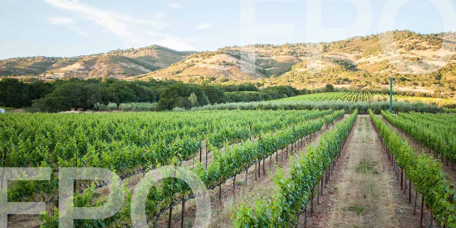 Argonza Cellars