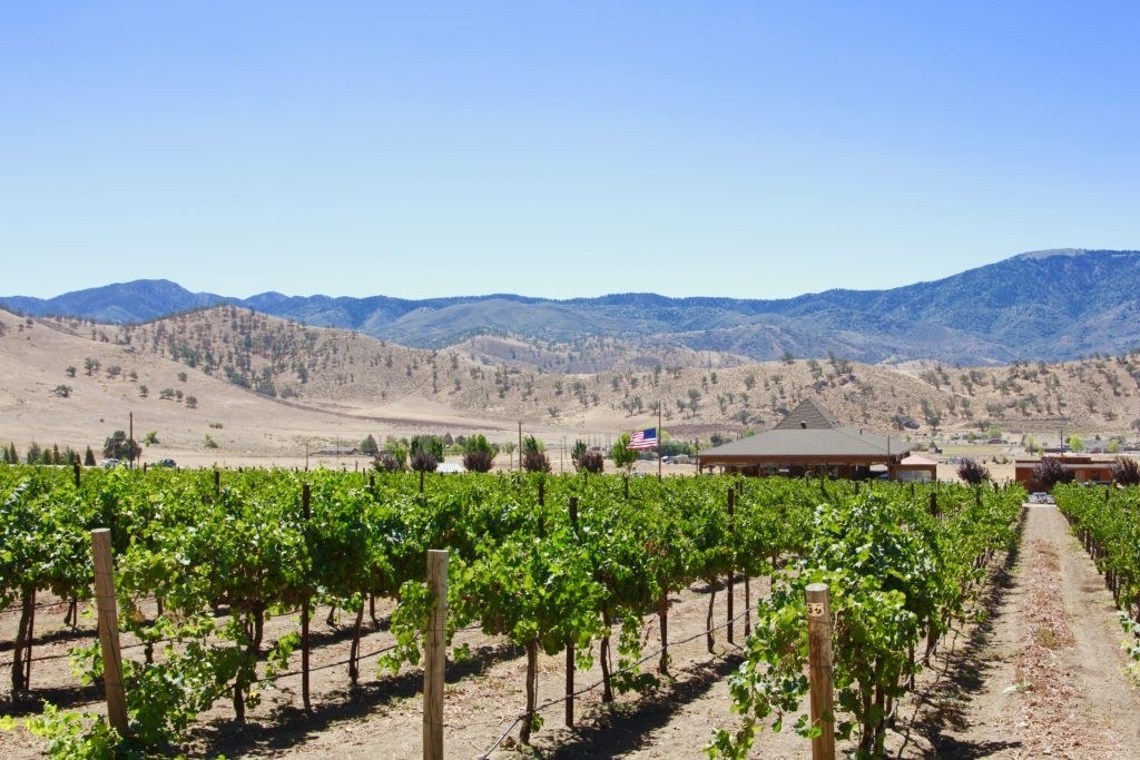 Triassic Legacy Vineyard