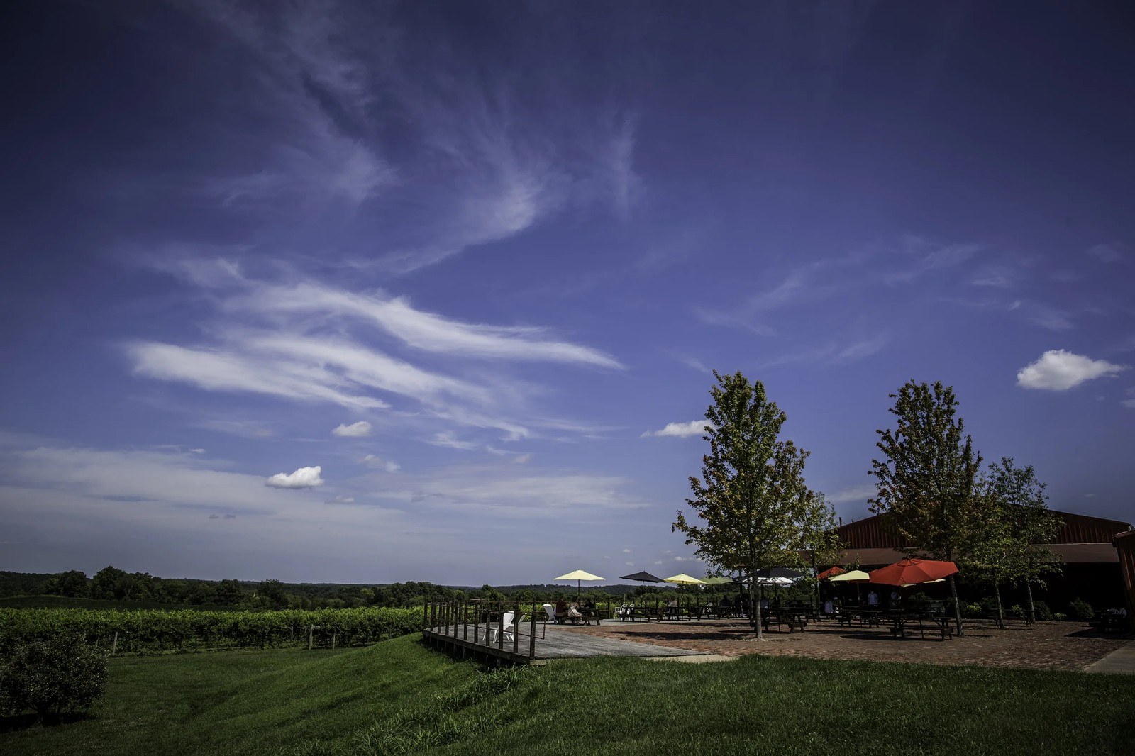 Von Jakob Vineyard