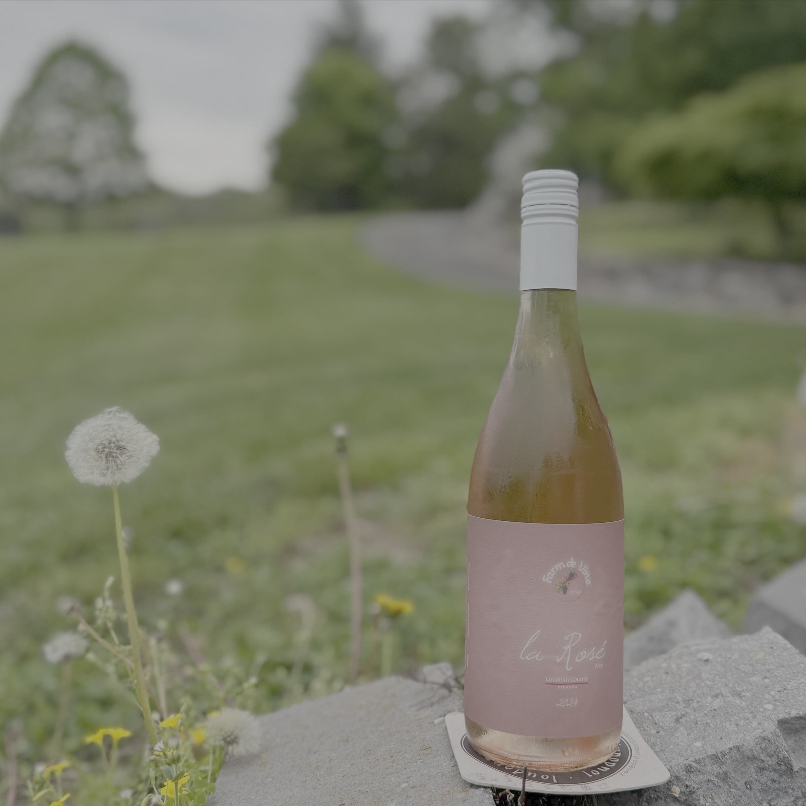 Farm de Vine