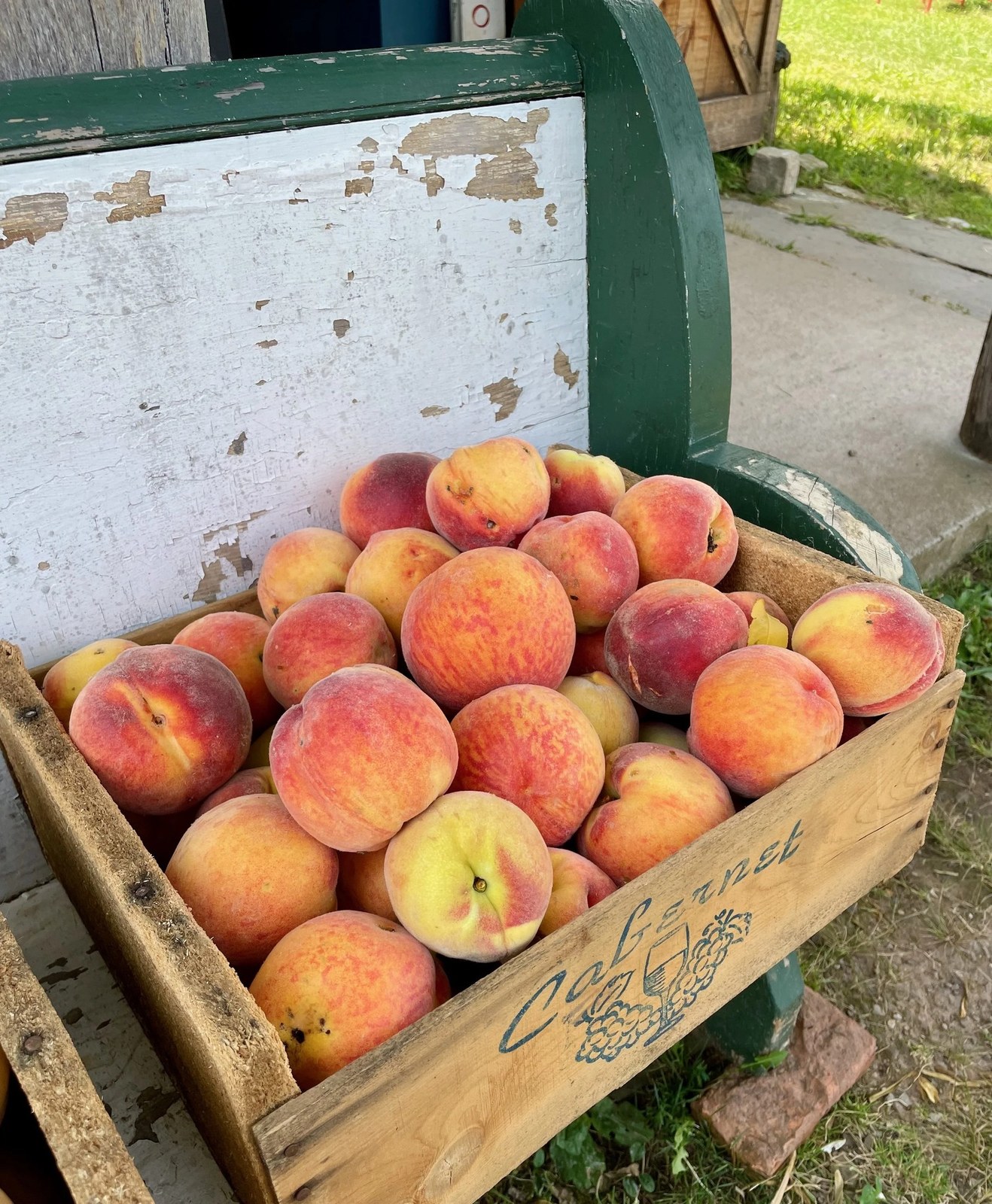 Joseph Preli Farm Winery, LLC