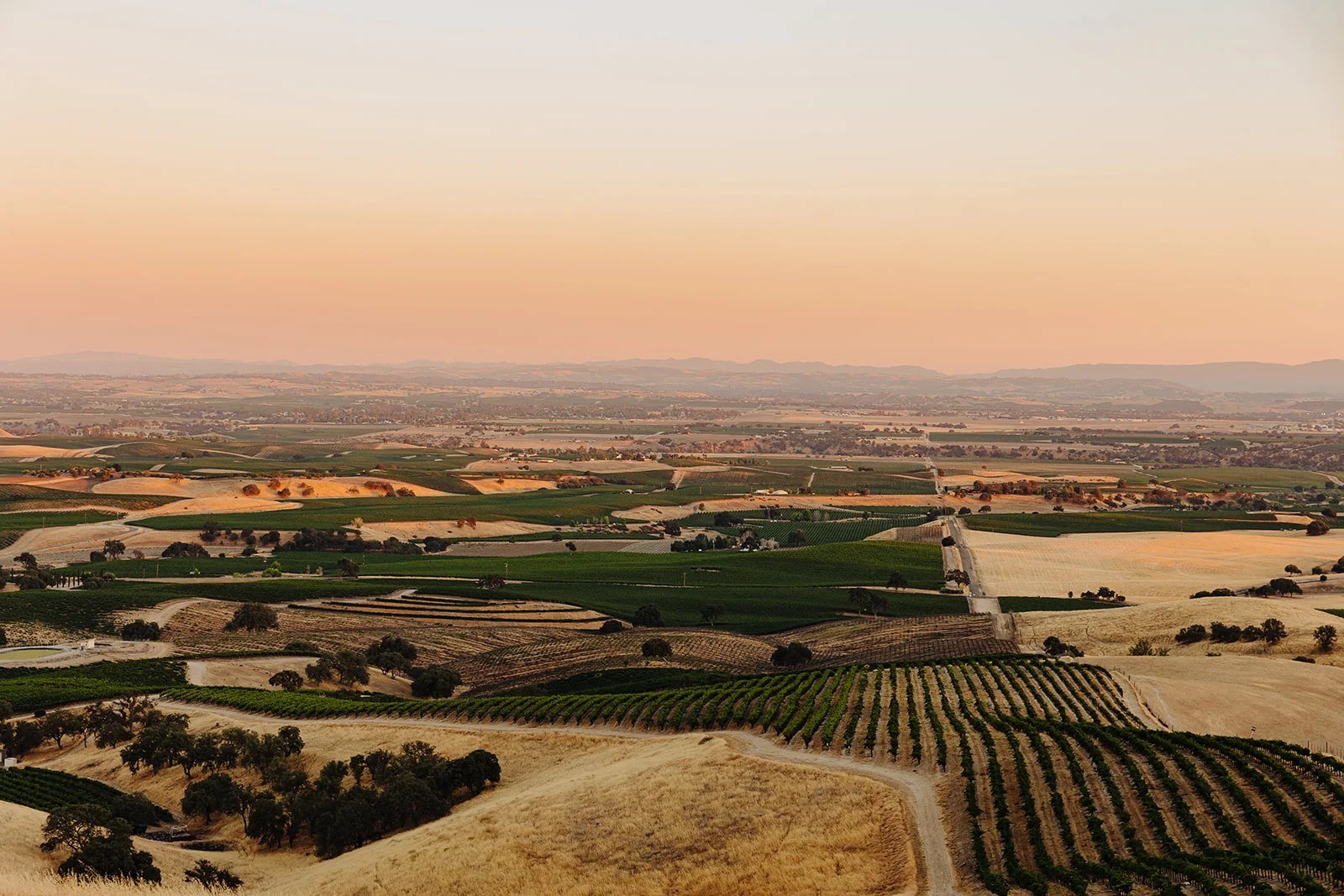 High Camp Estate & Vineyard
