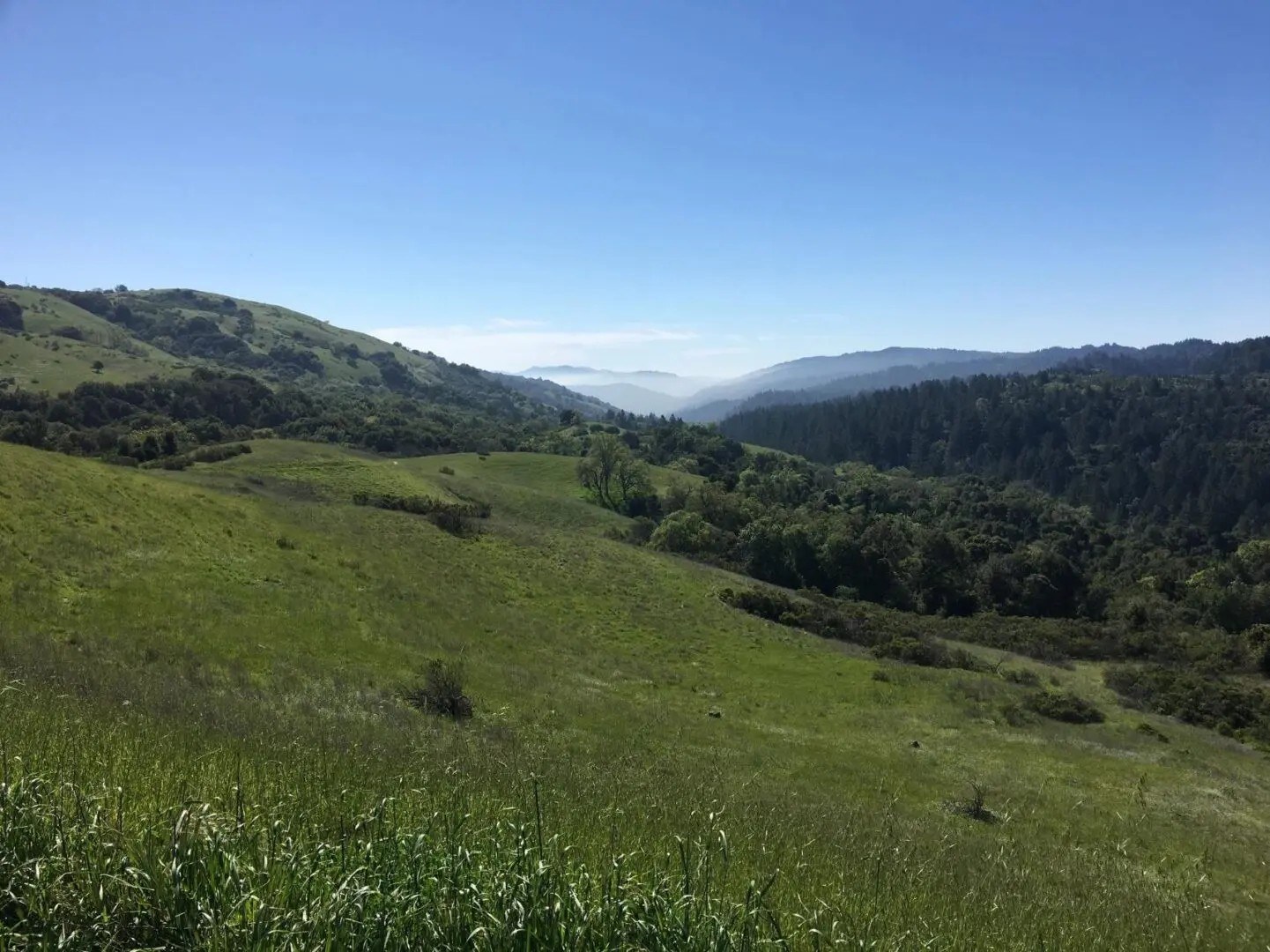 Russian Ridge Winery, LLC