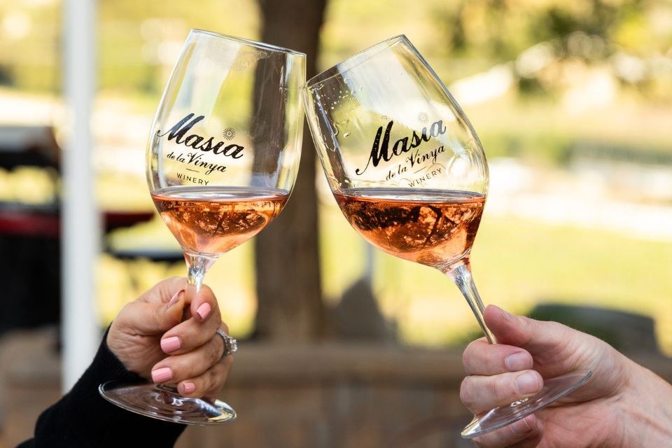 Masia de la Vinya Winery
