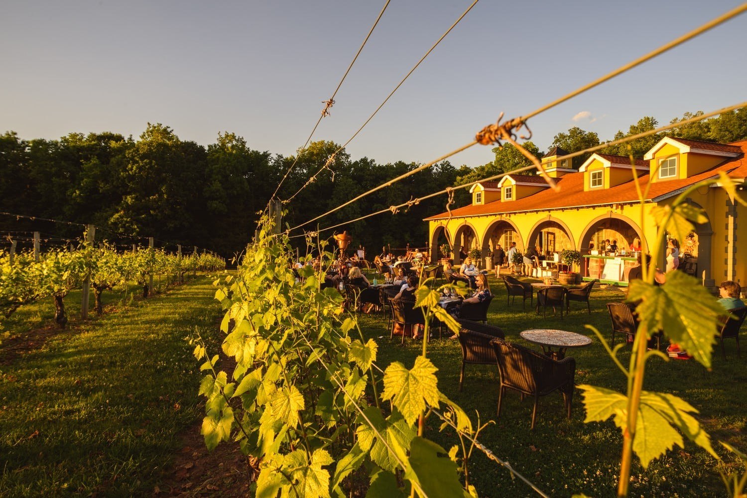 Paradise Hills Vineyard & Winery