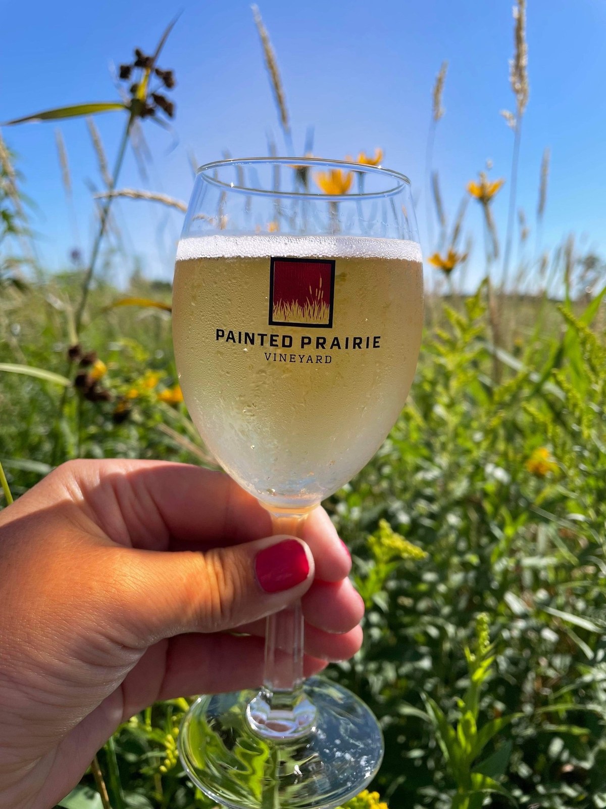 Painted Prairie Vineyard