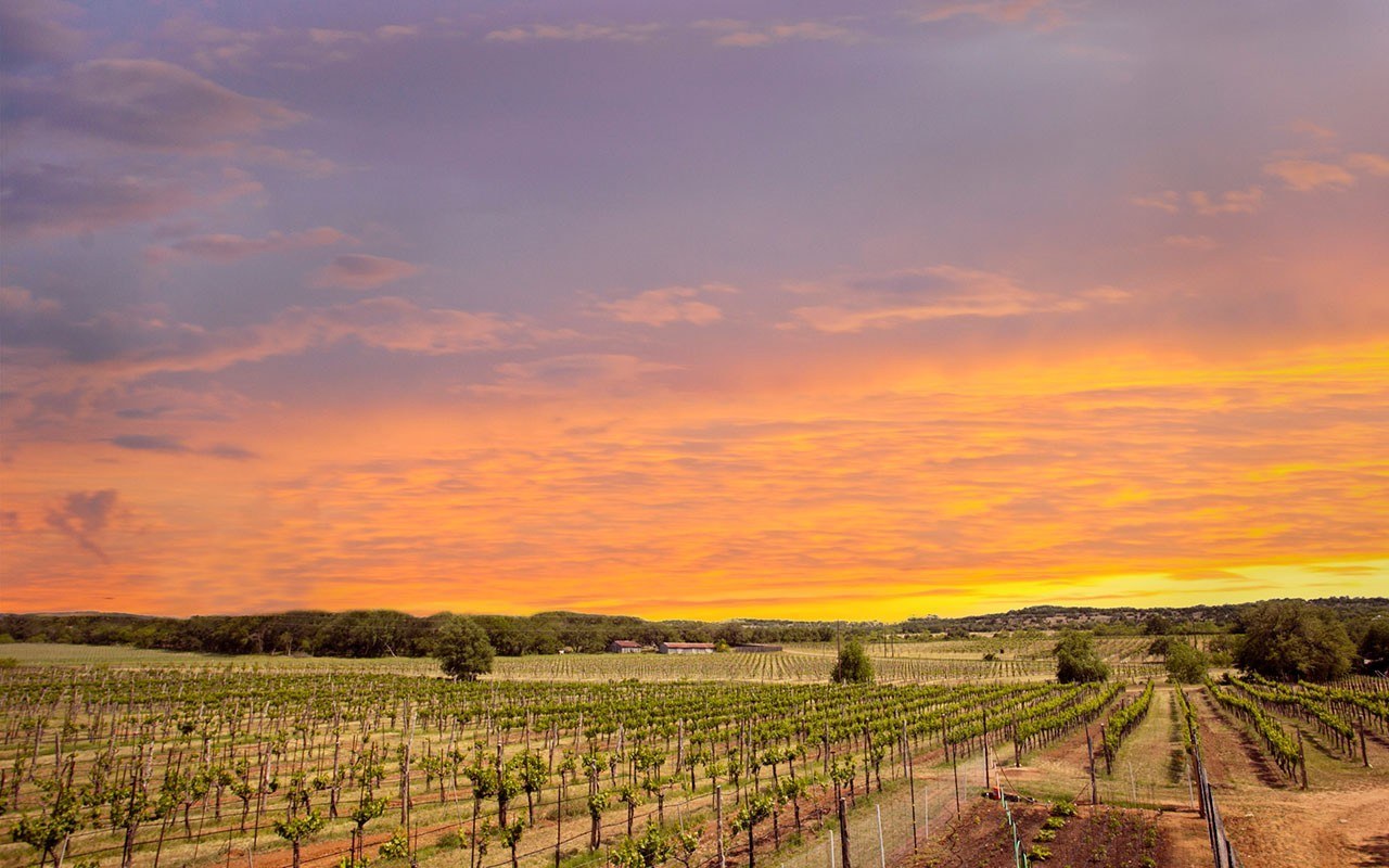 Spicewood Vineyards
