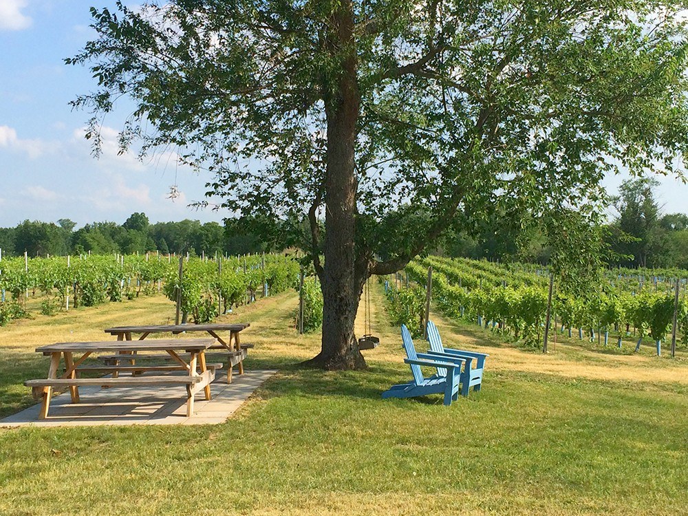 Clermont Vineyards & Winery, LLC