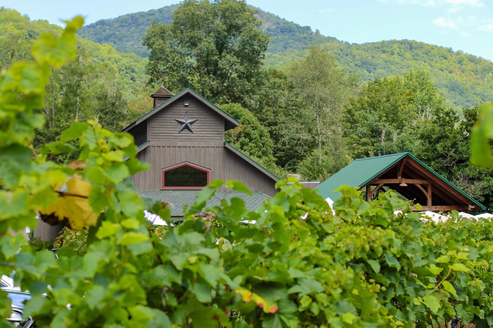 Grandfather Vineyard Wines