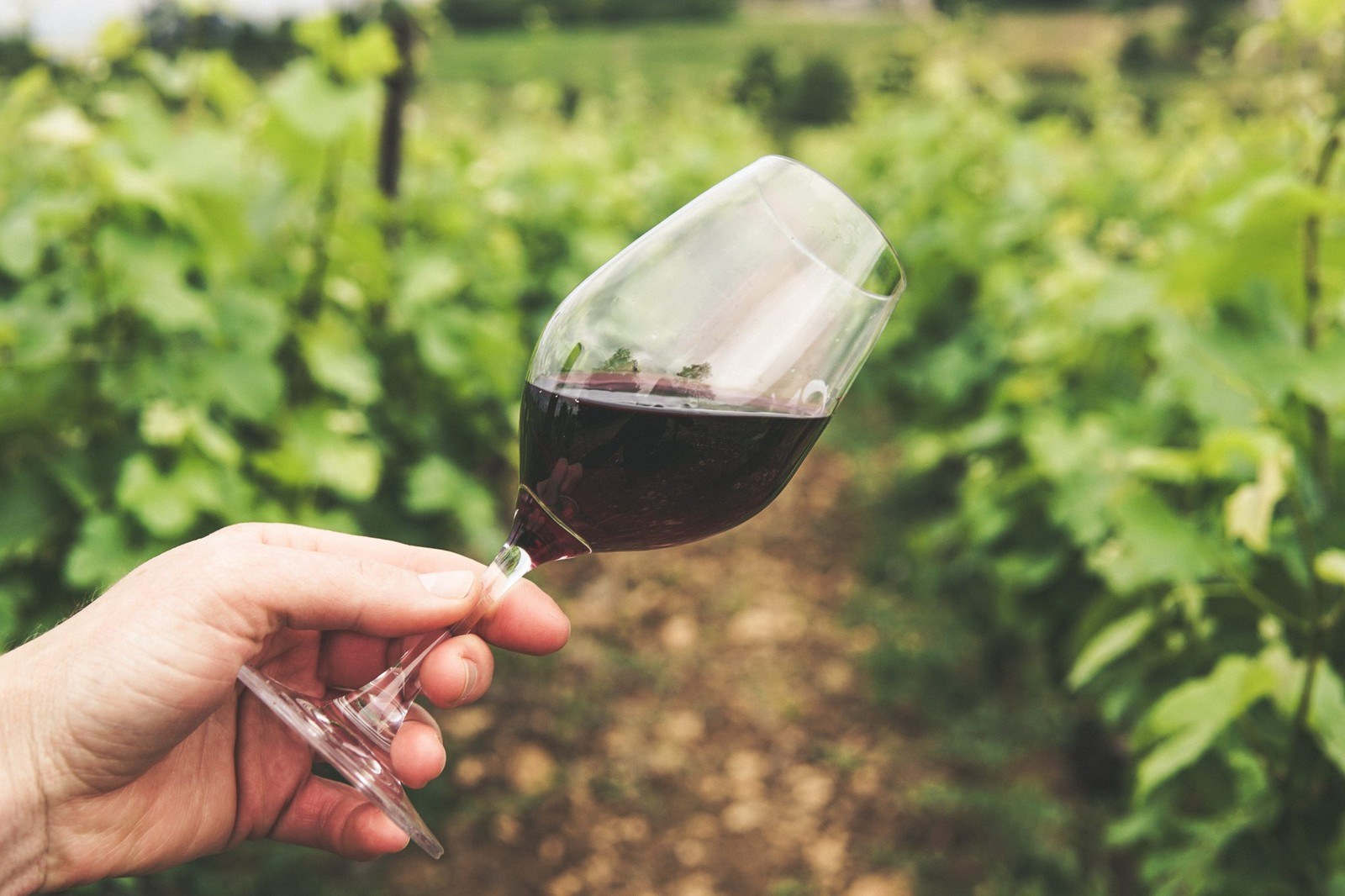 Shade Mountain Winery, Inc.