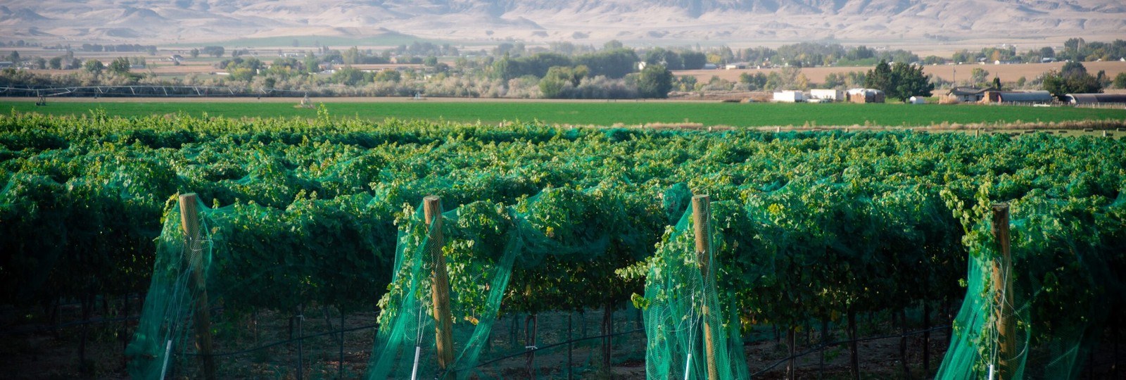 Hat Ranch Winery, LLC