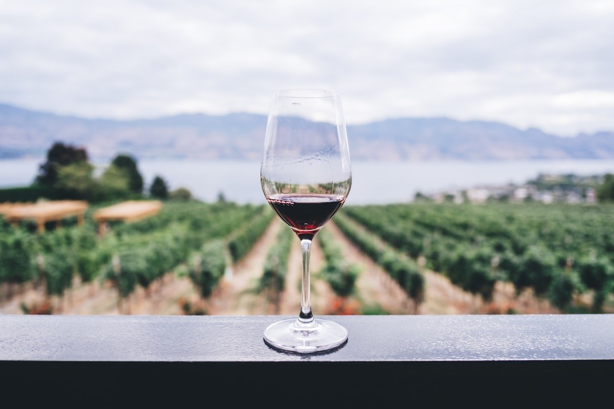 Schoolyard Winery