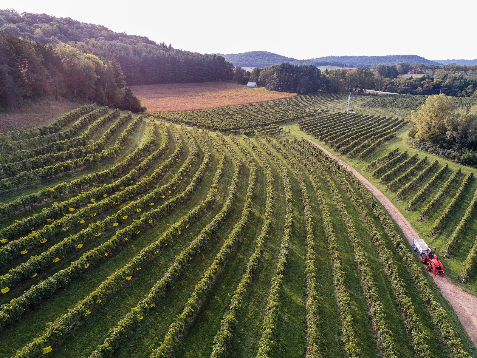 Wollersheim Winery