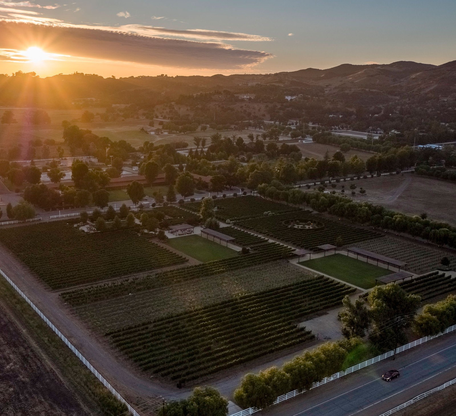 Mizel Wines