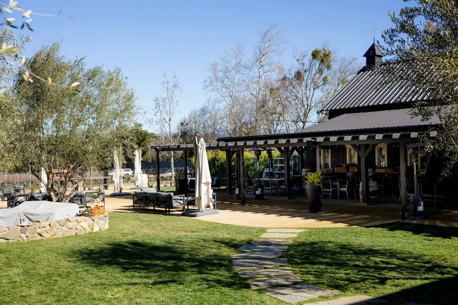 Vega Vineyard and Farm