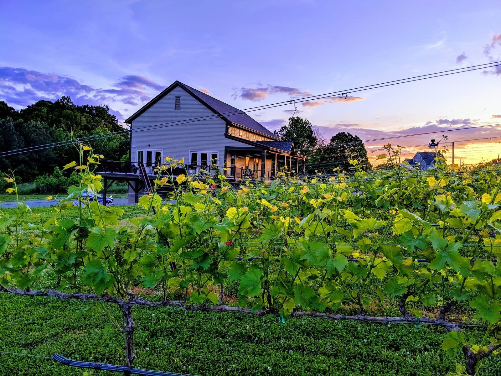 FireClay Cellars