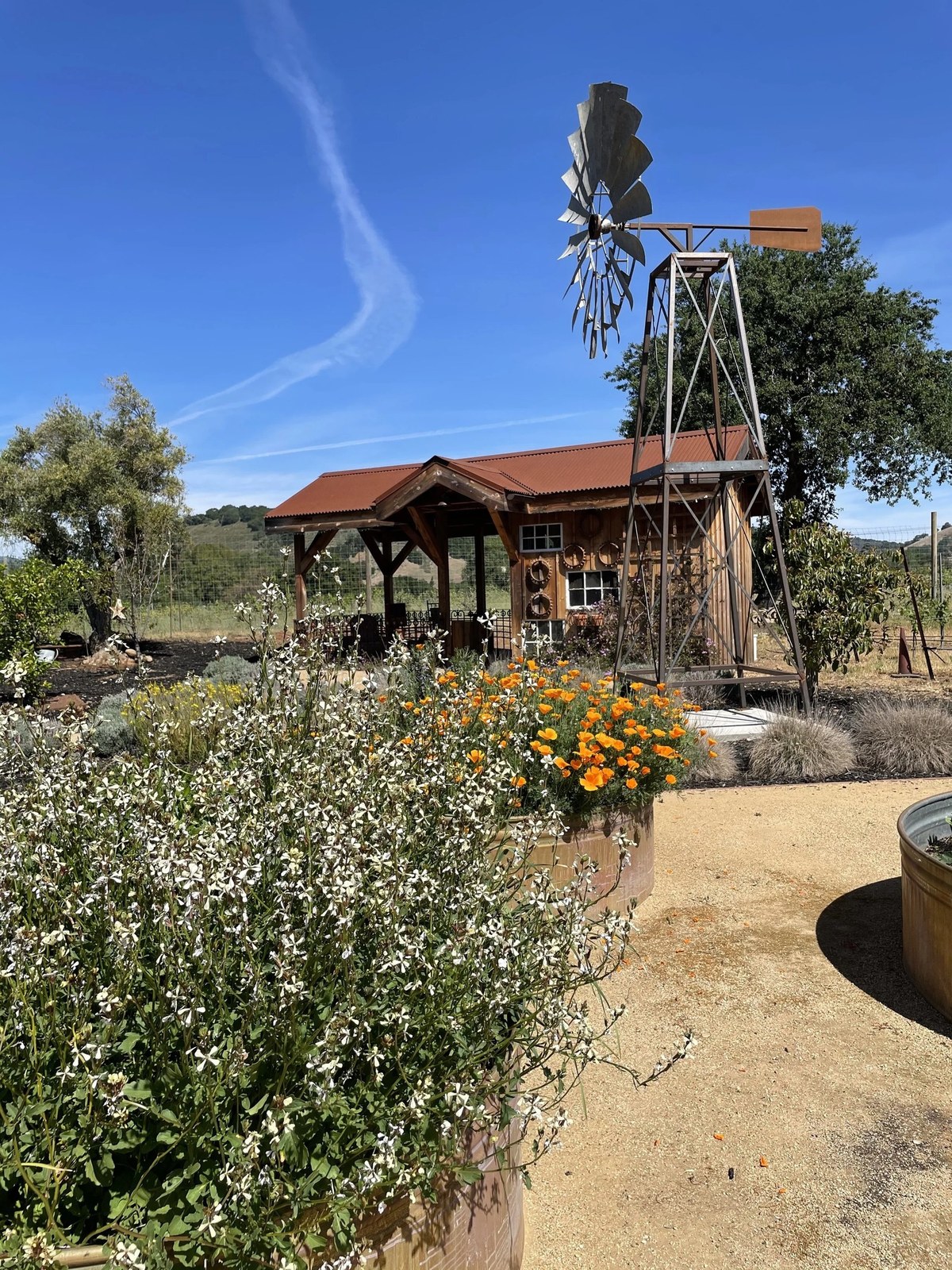 Horse Thief Vineyard LLC