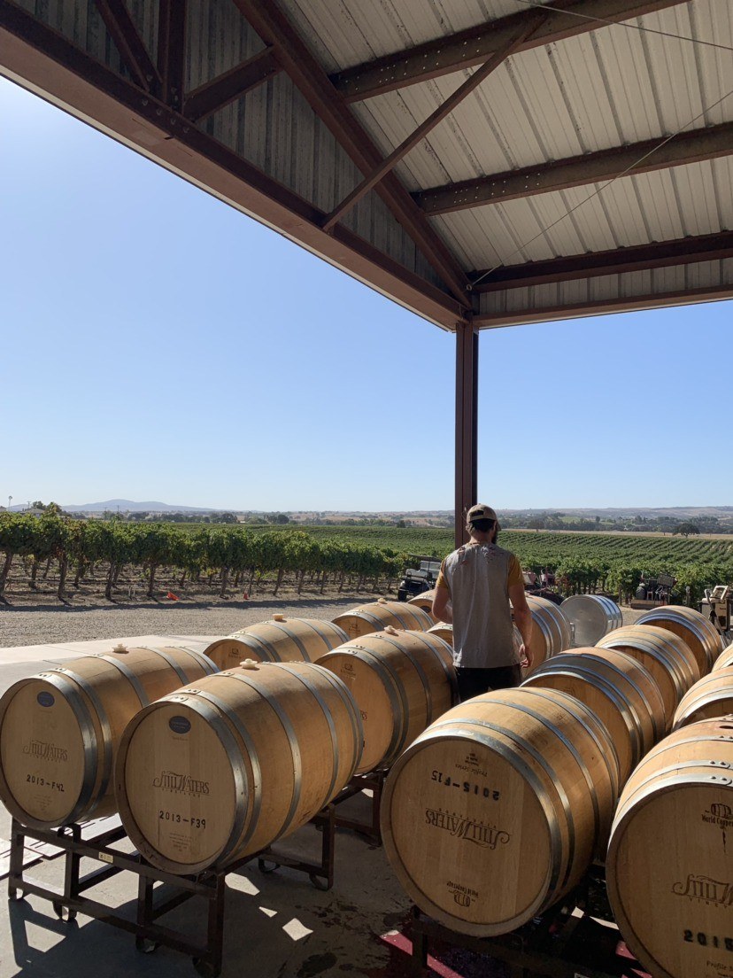 Still Waters Vineyard