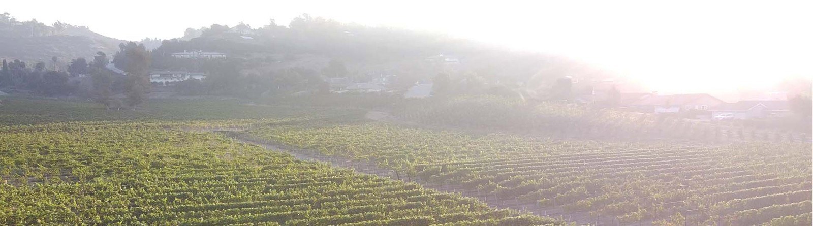 Monserate Winery
