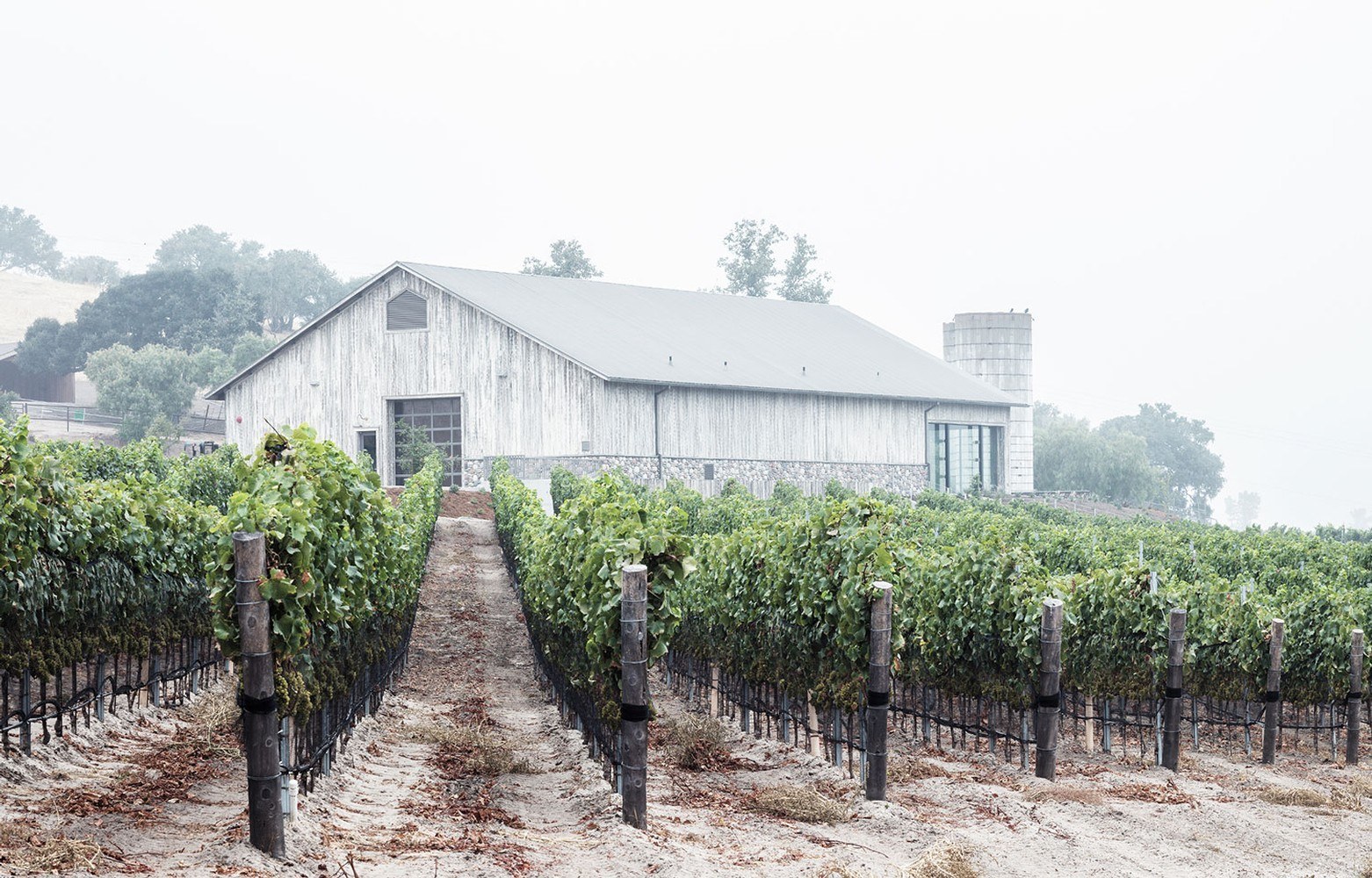 Spear Winery Company