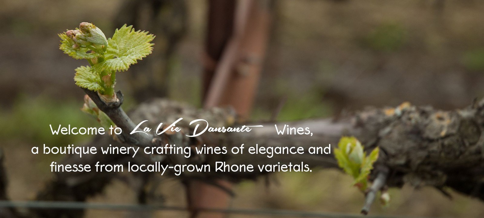 La Vie Dansante Wines LLC