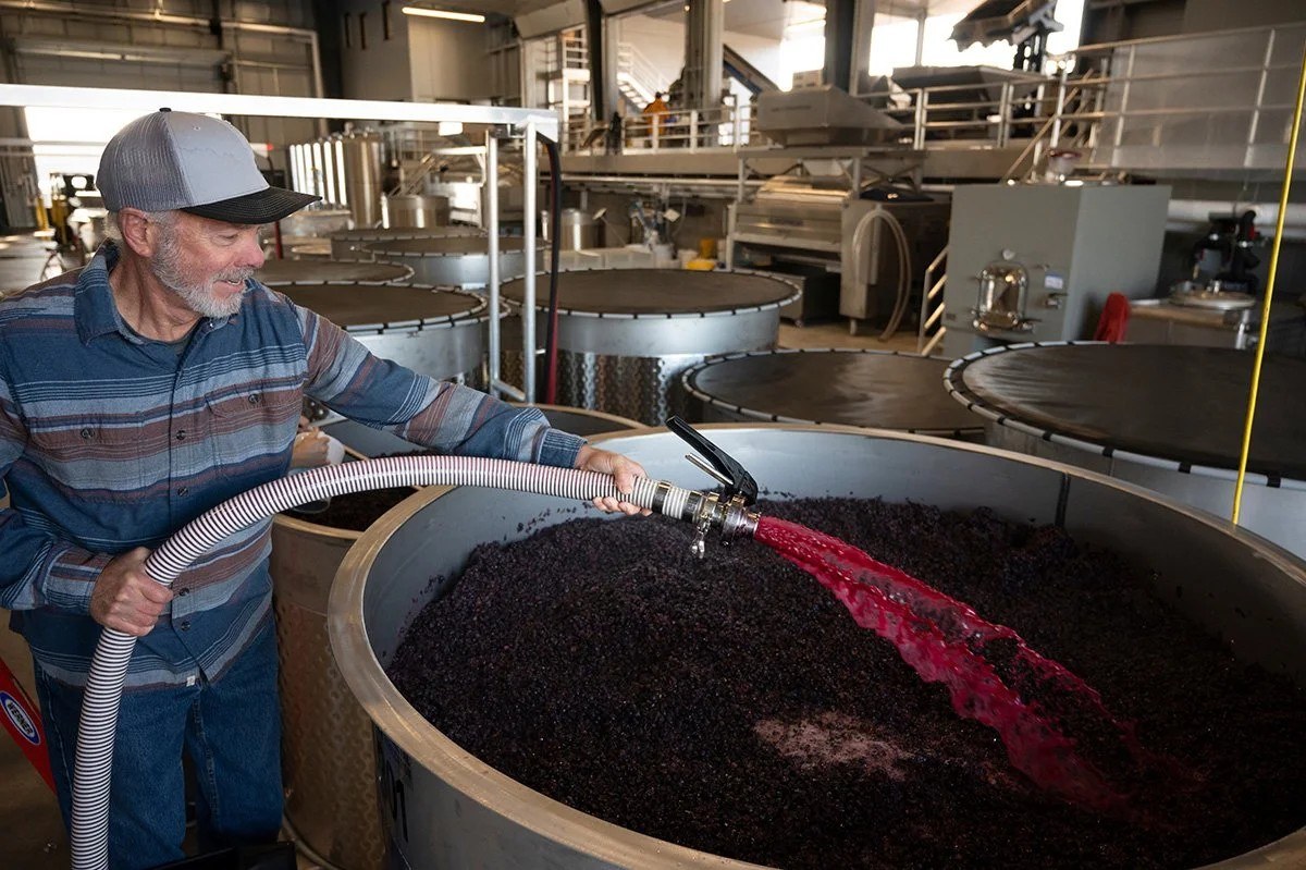Vinovate Wine Services