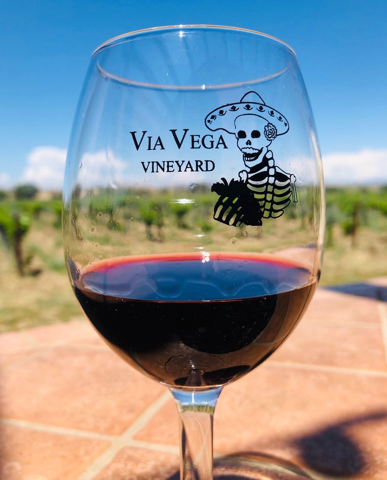 Via Vega Winery