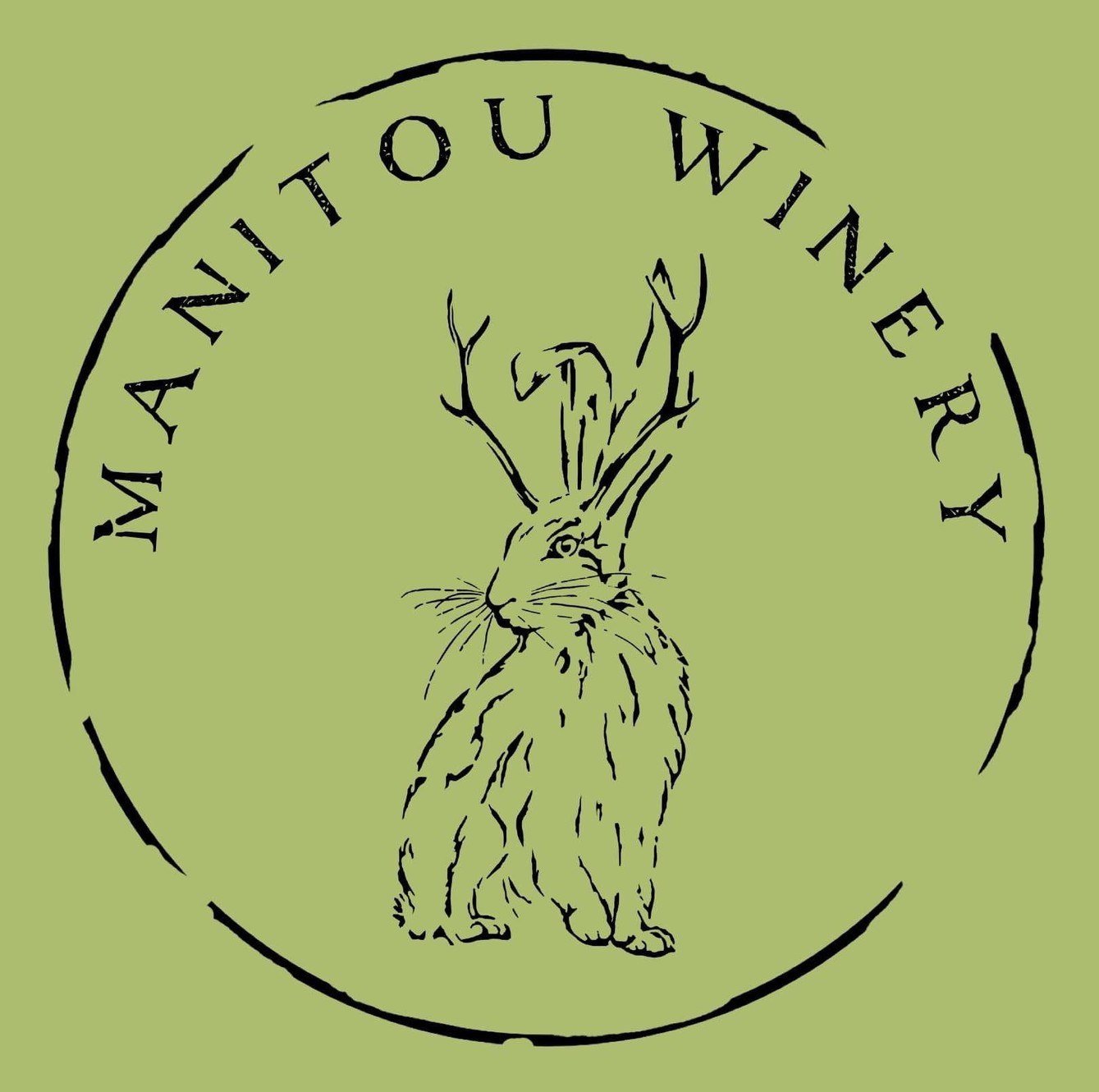 D'Vine Wine Manitou Springs