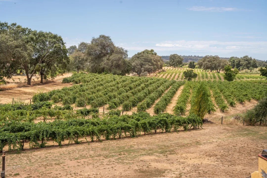 Fraser Family Vineyards LLC