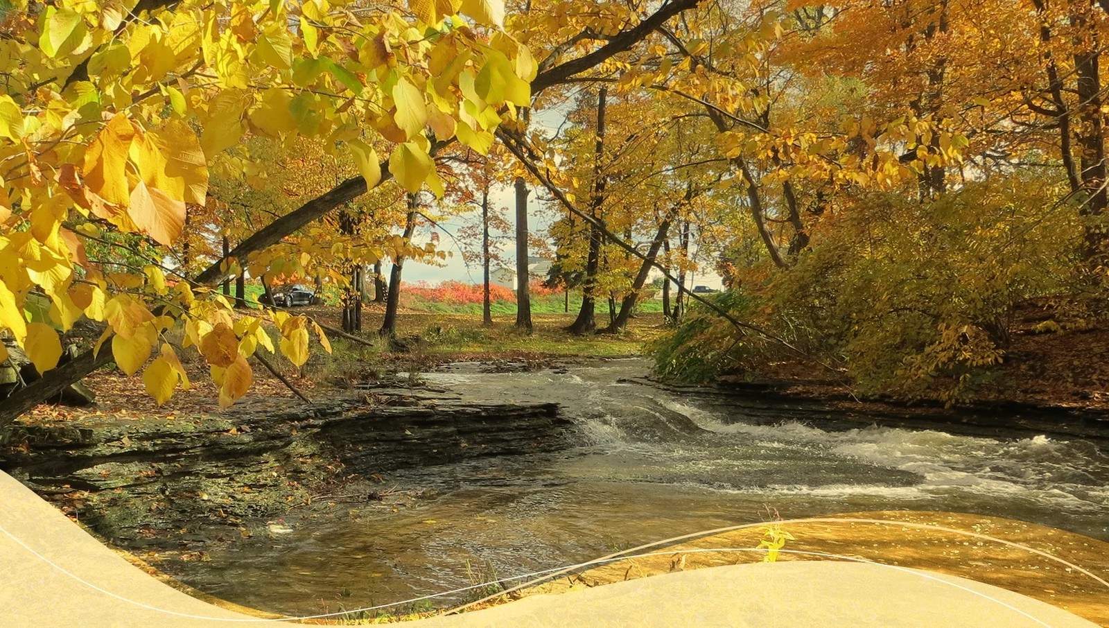 Presque Isle Wine Cellars