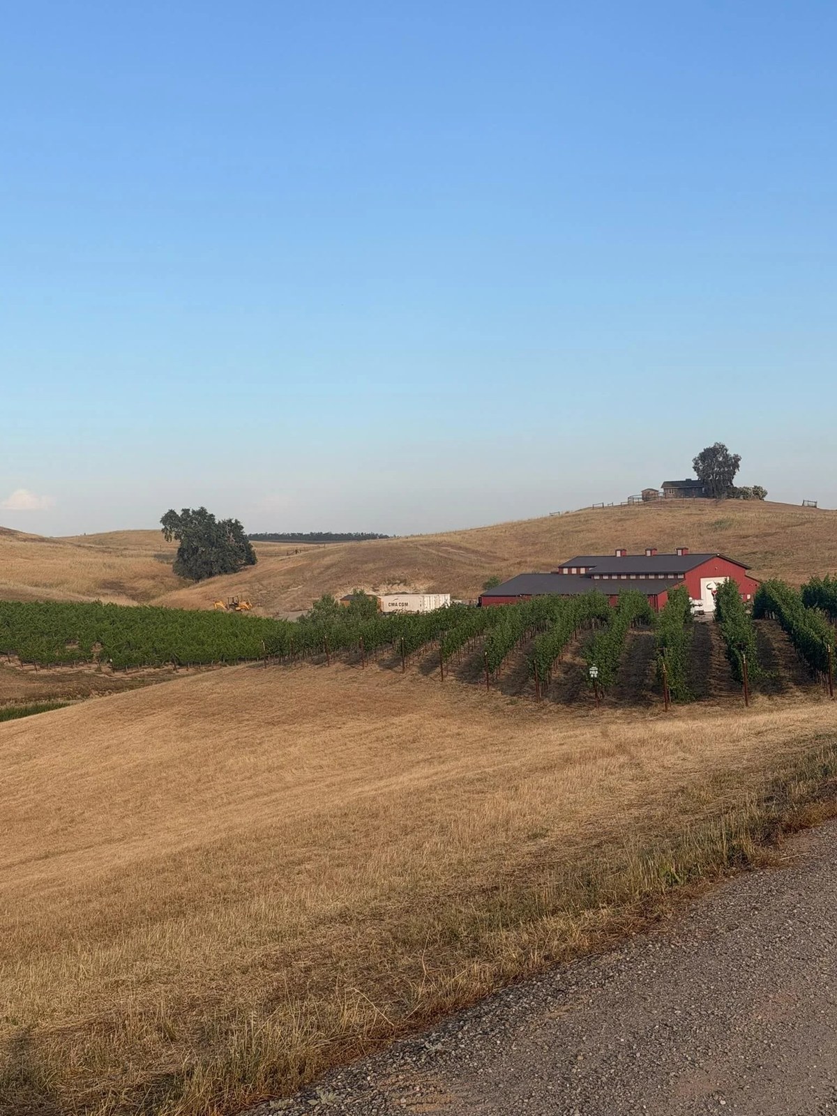 Raging Bull Vineyards, LLC