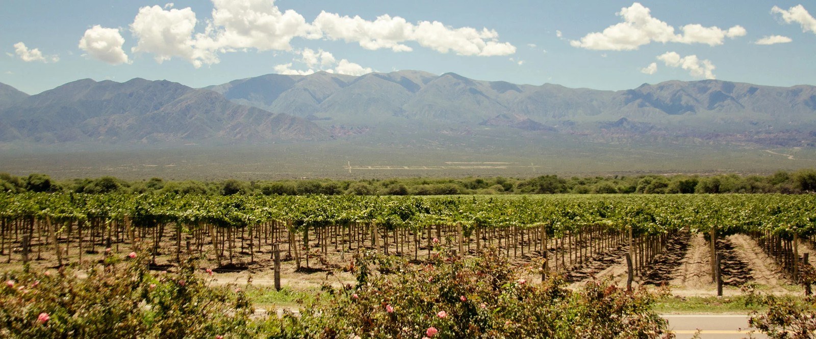 Copa Fina Wine Imports, LLC