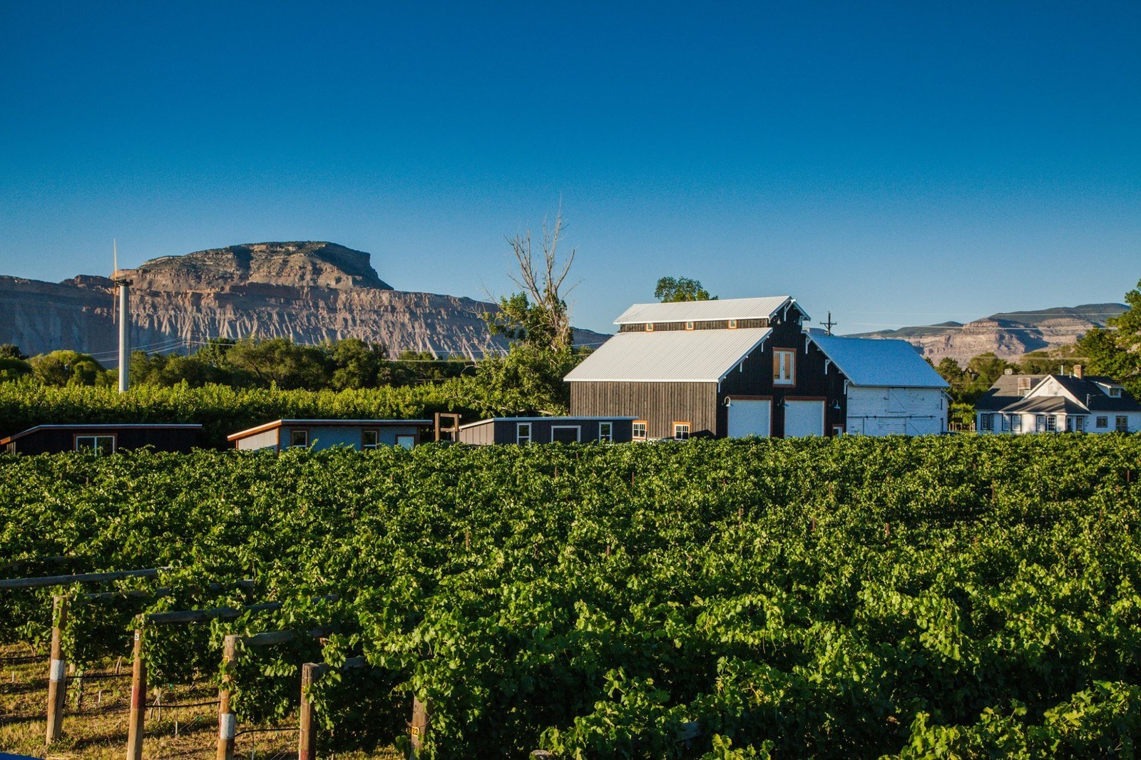 Restoration Vineyards, LLC