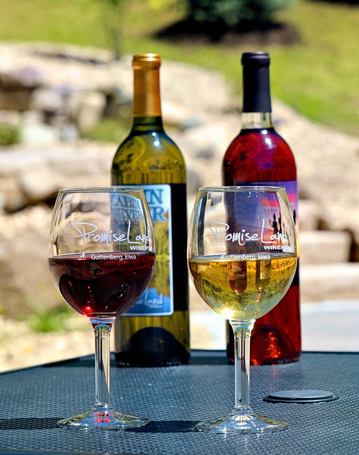 Promiseland Winery