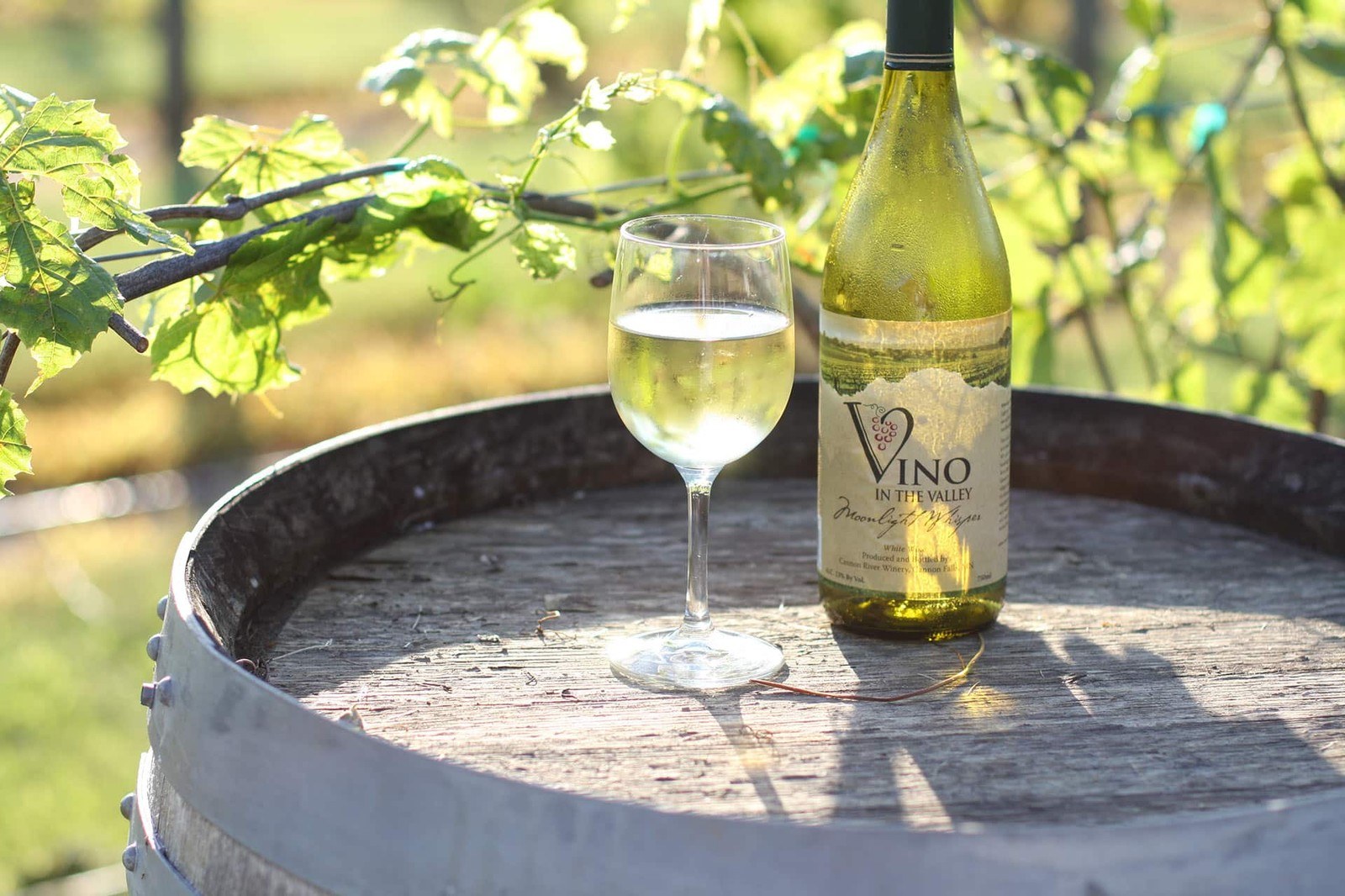 Valley Vineyard