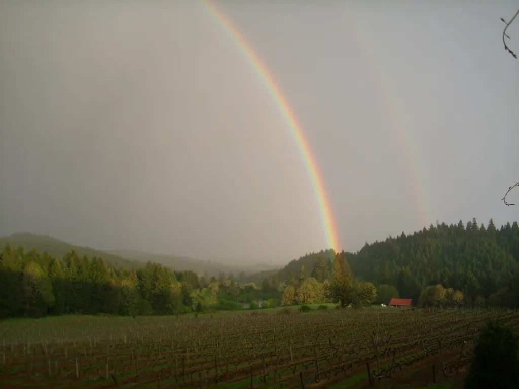 Rainsong Vineyard, Inc.