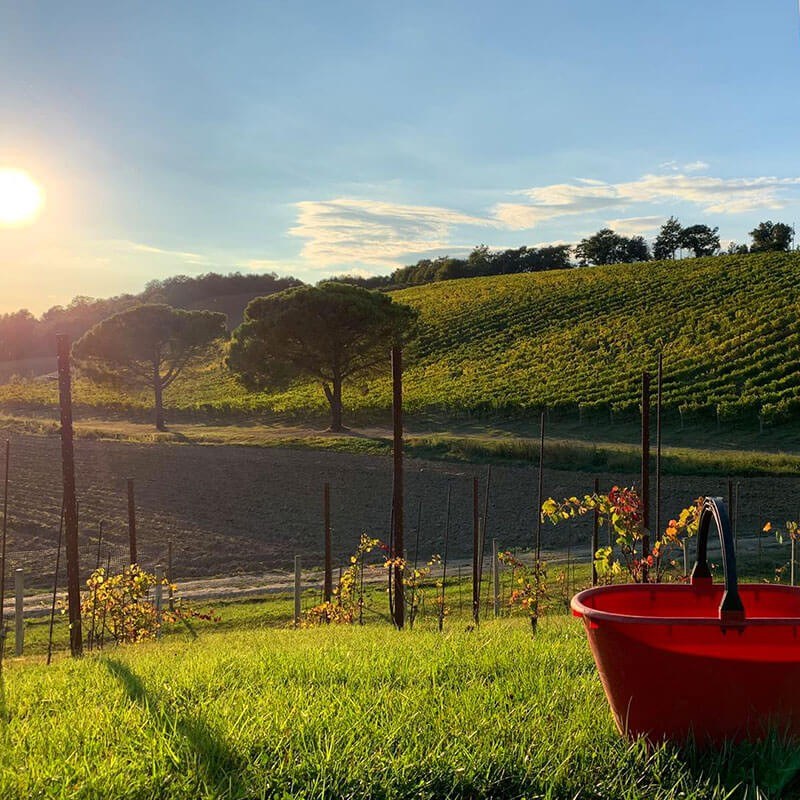 Vino Andreucci WineRoom