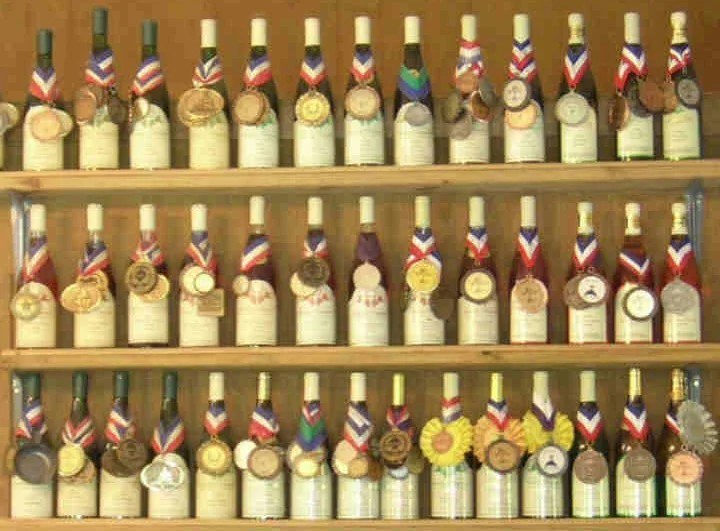Burnley Vineyards, Inc.