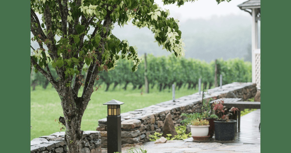 Stonington Vineyards