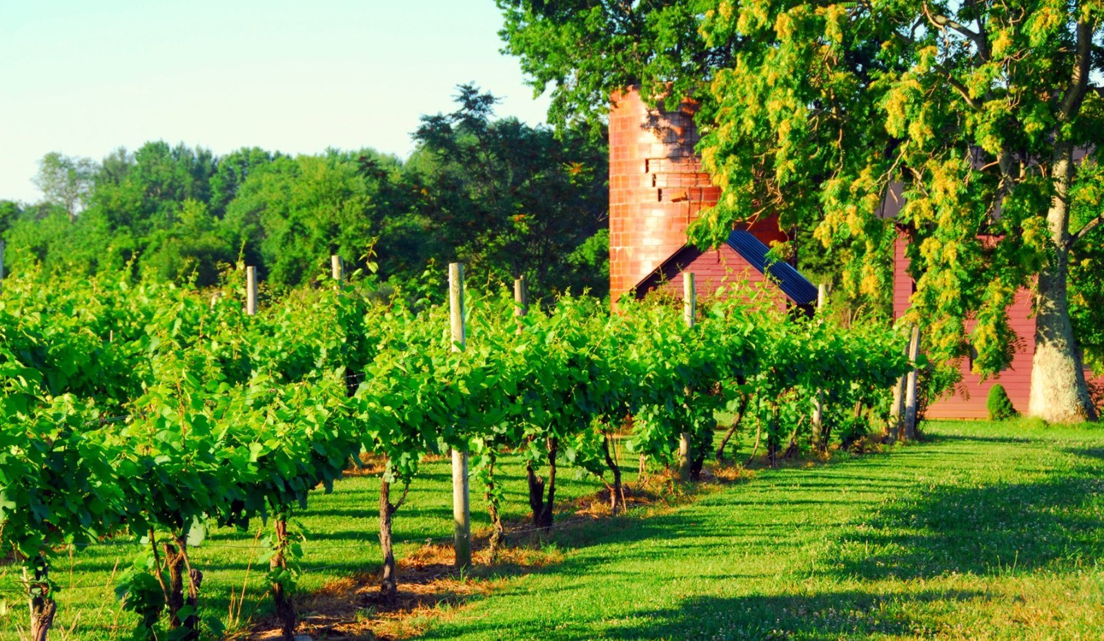 Pearmund Cellars