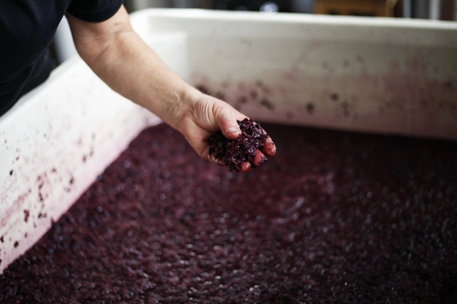 Gratta Wines